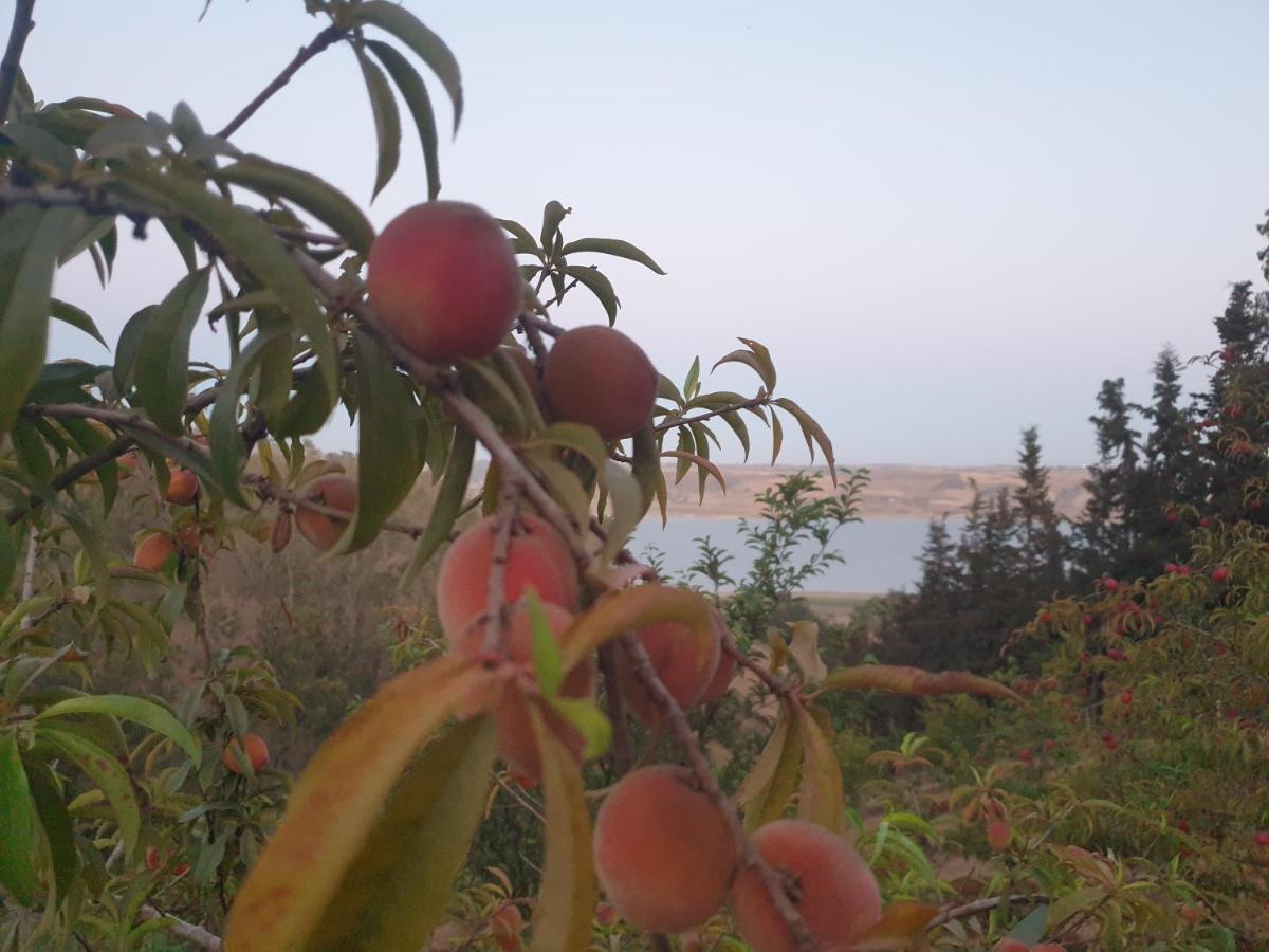 Ferme Bouhouch Διαμέρισμα Oulad Yakoub Εξωτερικό φωτογραφία