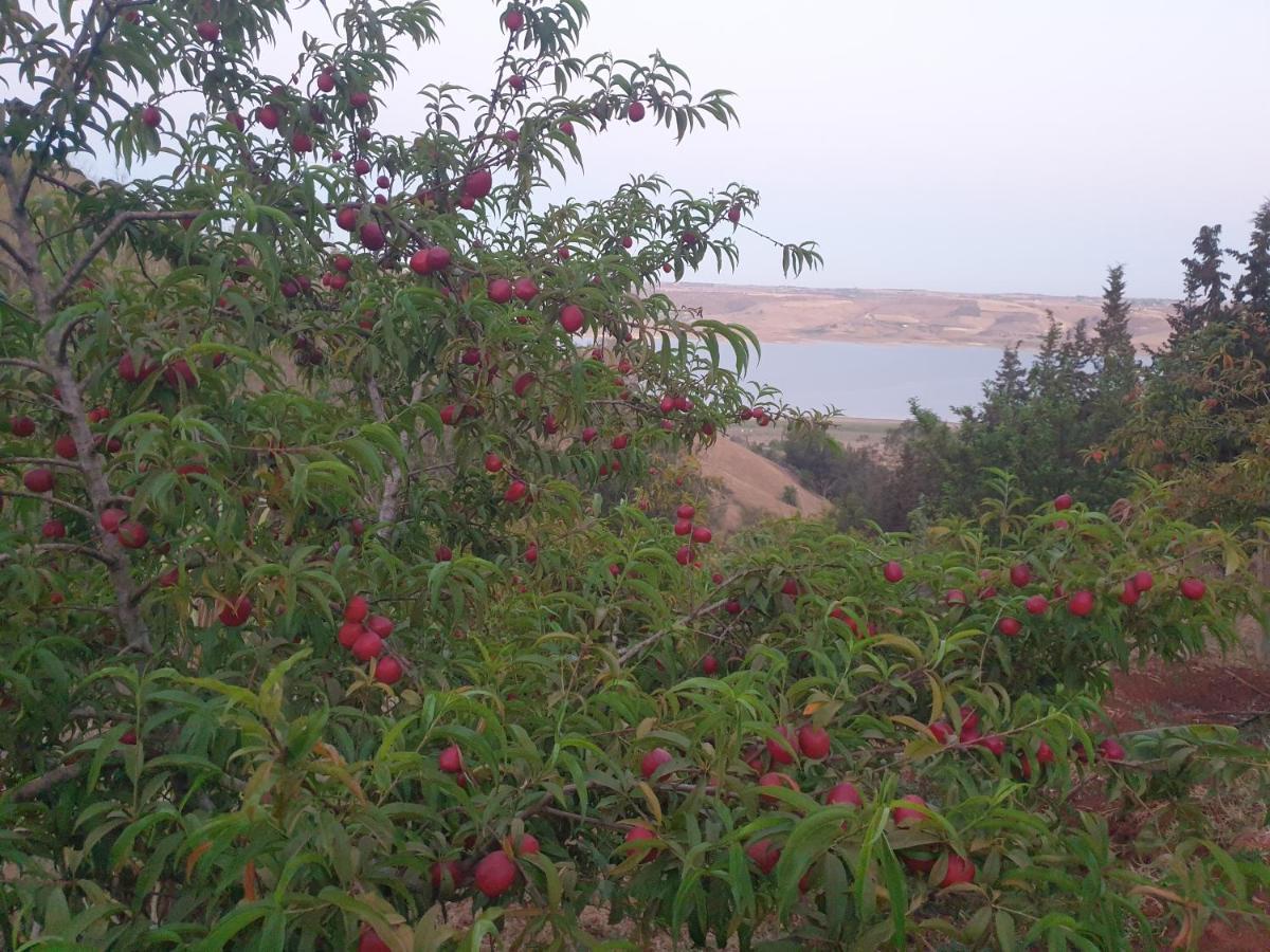 Ferme Bouhouch Διαμέρισμα Oulad Yakoub Εξωτερικό φωτογραφία