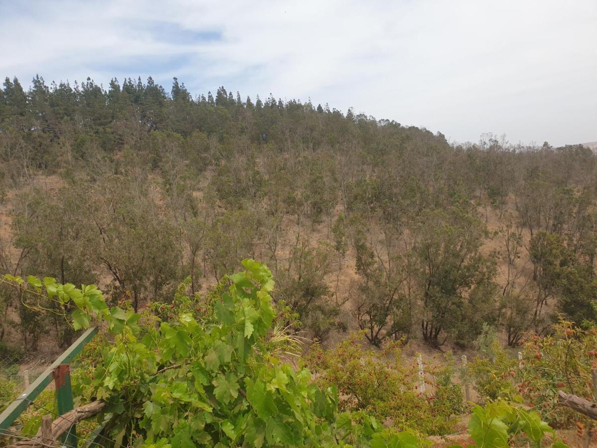 Ferme Bouhouch Διαμέρισμα Oulad Yakoub Εξωτερικό φωτογραφία