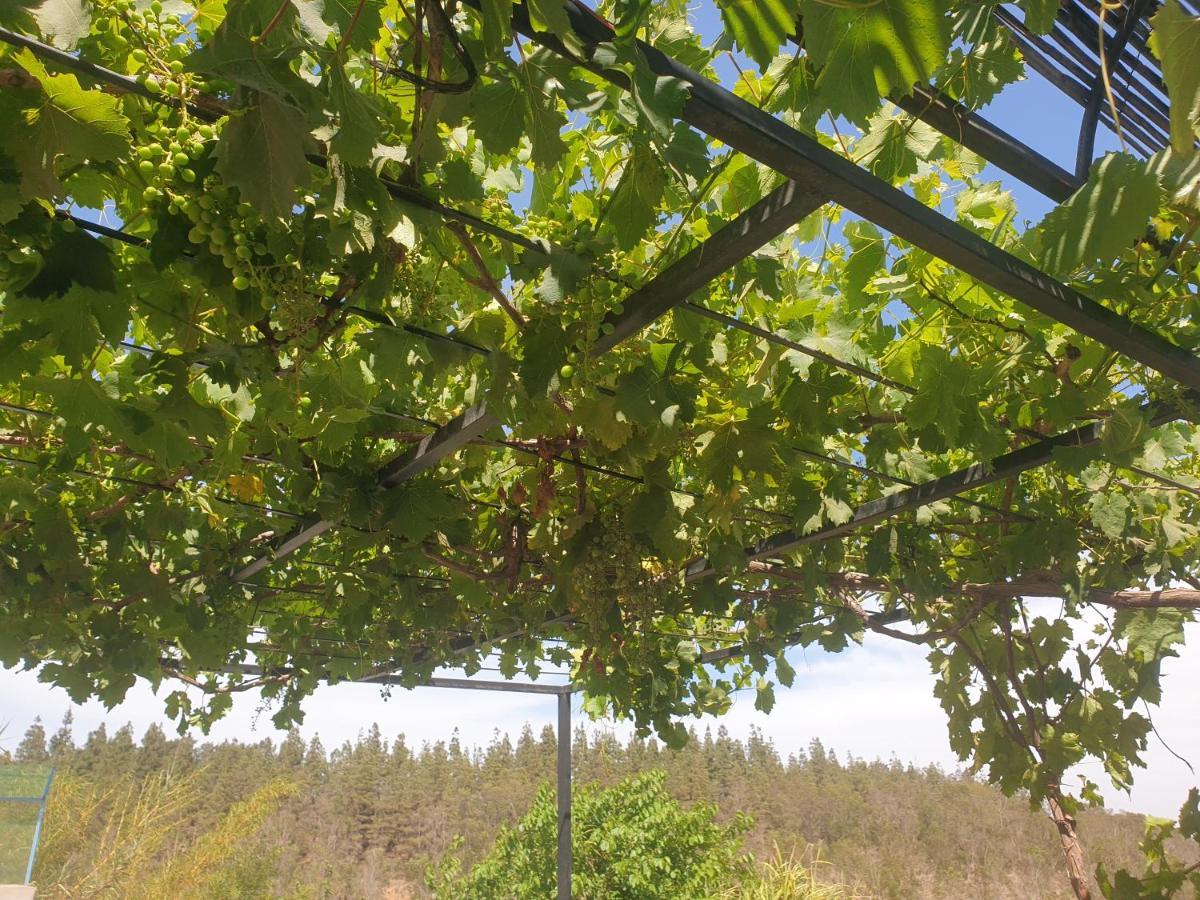 Ferme Bouhouch Διαμέρισμα Oulad Yakoub Εξωτερικό φωτογραφία