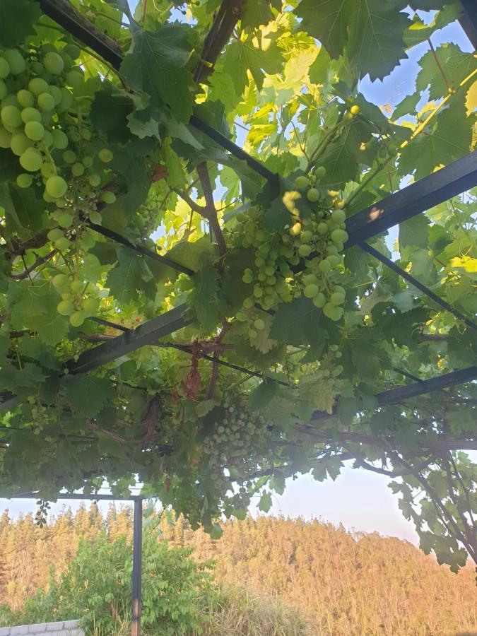 Ferme Bouhouch Διαμέρισμα Oulad Yakoub Εξωτερικό φωτογραφία