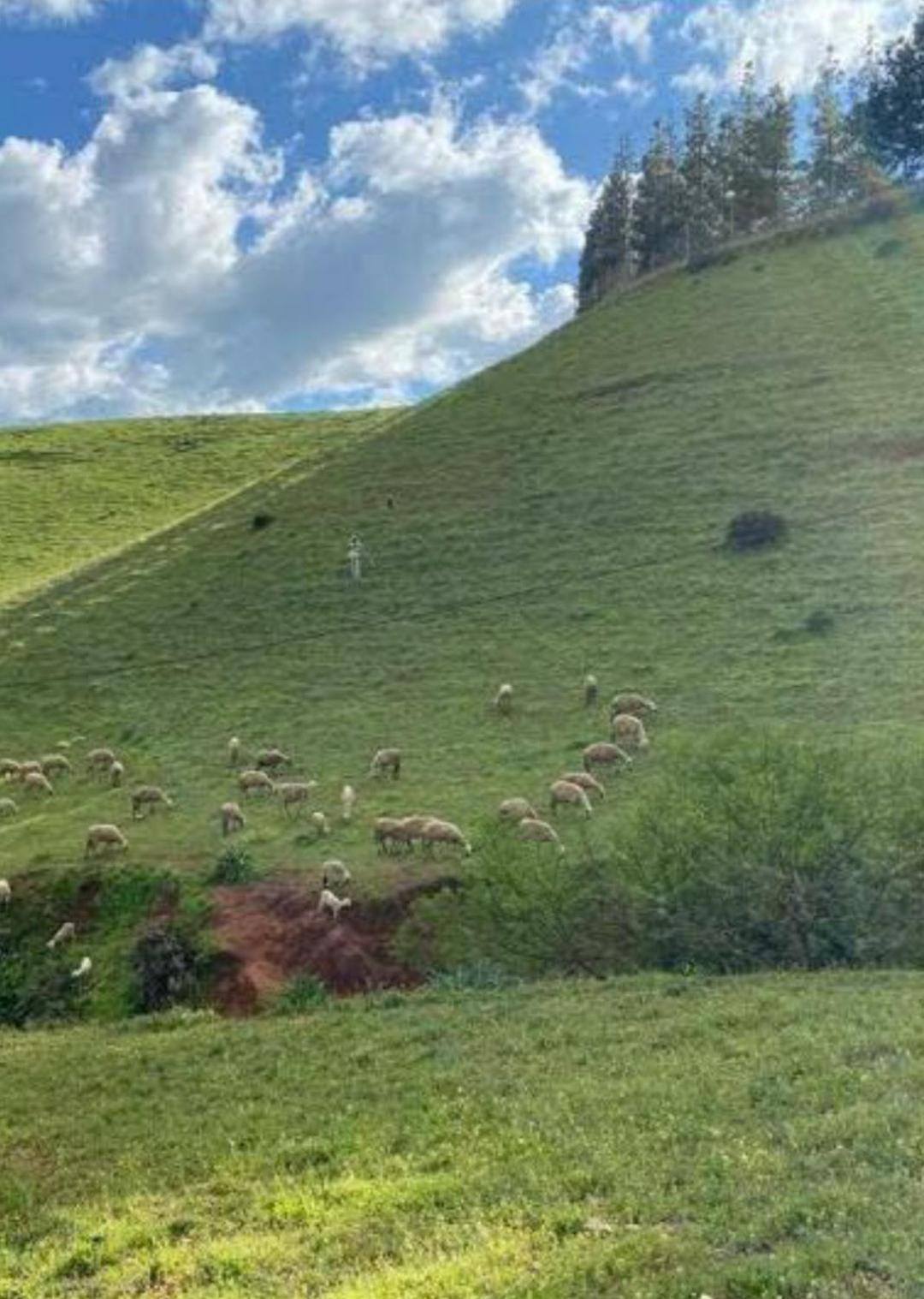 Ferme Bouhouch Διαμέρισμα Oulad Yakoub Εξωτερικό φωτογραφία
