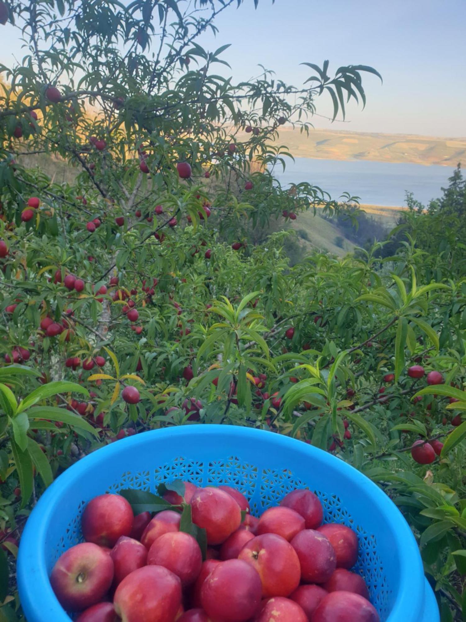 Ferme Bouhouch Διαμέρισμα Oulad Yakoub Εξωτερικό φωτογραφία
